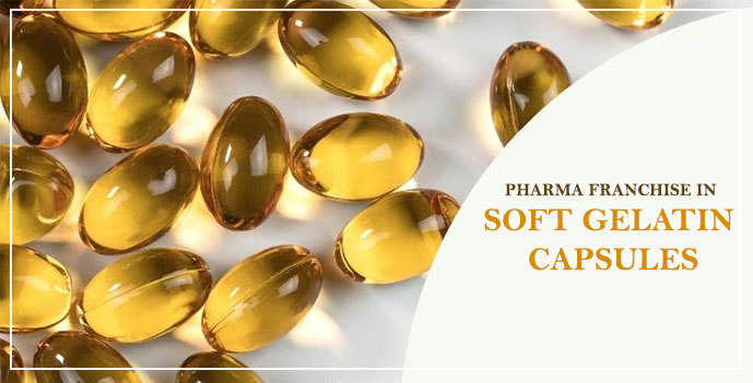 Pharma Franchise in Soft Gelatin Capsules