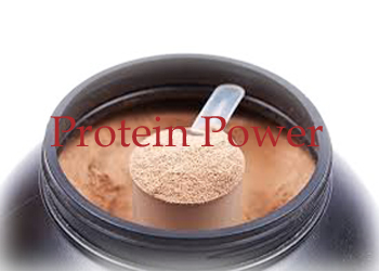 Protein Powder