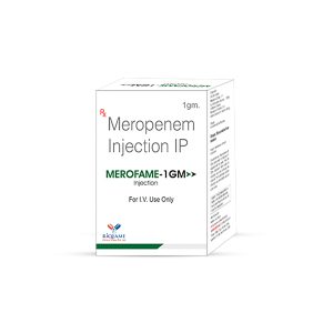 Merofame 1gm Injection